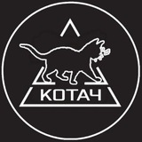 Котач🇷🇺🐈🌲