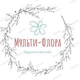 Каталог хризантемы Краснодар