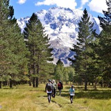 Эльбрус Архыз Домбай Онлайн Чат ⛰
