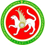 Казань24 | Новости