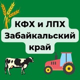 КФХ и ЛПХ Заб. край