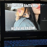 Собачонки