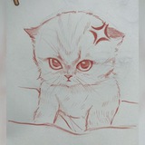 Котята и рисование