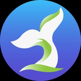 KIT TRAVEL - контент турагента