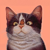 Котанутые
