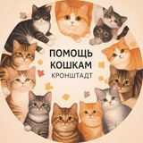 ВОЛОНТЁРСКОЕ ДВИЖЕНИЕ КОШКИ Кронштадт