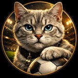 Кот вне офсайда | Футбол