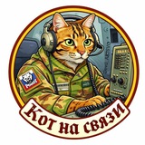 Кот на связи.