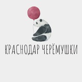 Краснодар Черёмушки Ставропольская Вещевой Рынок Вешняки Новороссийская улица Краснодара Знакомства Общение Чат Барахолка Вписки