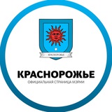 Мэр города Краснорожье (основа)