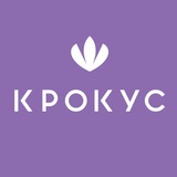 Цветы Оптом Крокус