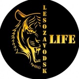 🟡 LESOZAVODSK LIFE