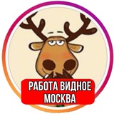 Работа Видное, Москва, МО|Вакансии и поиск работы