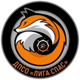 ДПСО «Лига Спас»