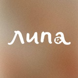 ДОМ ЛИПЫ