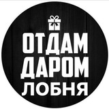 ОТДАМ ДАРОМ ЛОБНЯ