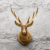LoftDesigne