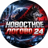 Новостное логово 24