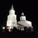 Лагойская манюка