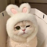 Я хочу
