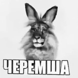 ЛЮБИМЫЙ МЕМ CONFESSION ‼️