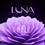 Цветы Москва Luna | клуб
