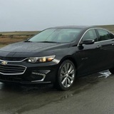 Chevrolet Malibu club