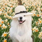 Животные Мариуполь