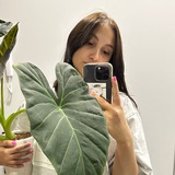 Mari’s plants 🪴
