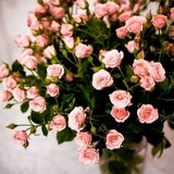 Эфиры ❤