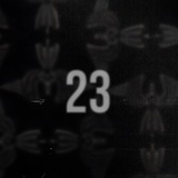 23