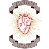 cardio/heart 🫀