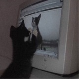 Овнер сплит