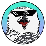 Биполярная сова 🦉 | Мемы и Юмор