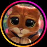 🐈 МИЛОТАКОТА 🐈‍⬛