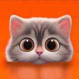 КотоМания