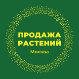 Продажа растений, Москва 🌸🌸🌸