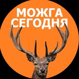 Можга сегодня