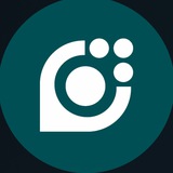 MSCinsider