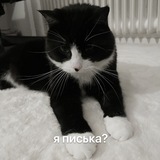 майлитлгидрапони