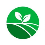 Микрозелень — Моя Зелень