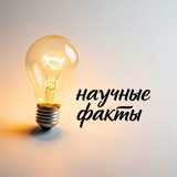 Научные факты💡
