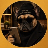 не за все деньги