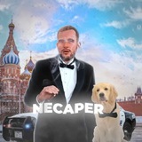 NECAPER 💣 | Ставки на спорт