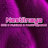 Nestilnaya