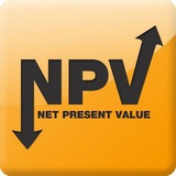 Net Present Value
