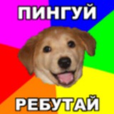 N4E