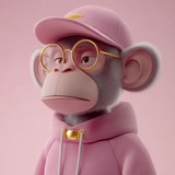 Monkey - NFT ️