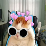 Nikkat и точка