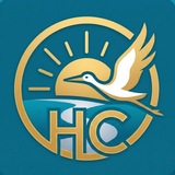 Новости Столина